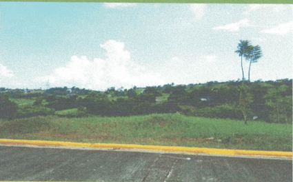 Open grassy landscape with a paved road in the foreground and rolling green hills under a bright sky.